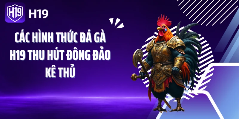 Các hình thức đá gà H19 thu hút đông đảo kê thủ